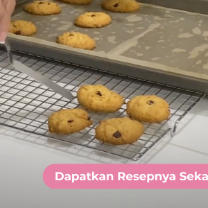 Chocochip Cookis Low Carb